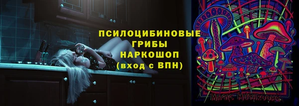 гидропоника Бородино