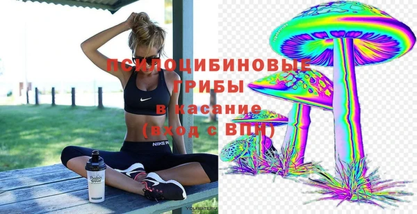 гидропоника Бородино