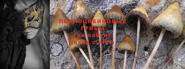 гидропоника Бородино
