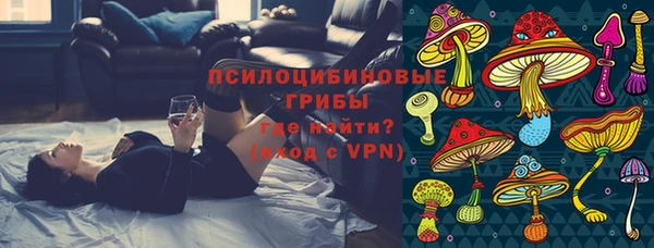 гидропоника Бородино