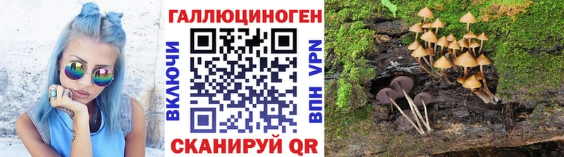 Галлюциногенные грибы прущие грибы  продажа наркотиков  Томилино 