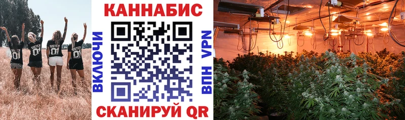 блэк спрут зеркало  наркошоп  Томилино  Конопля Amnesia 